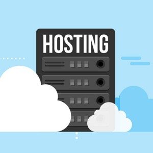Hosting a medida Hosting a medida